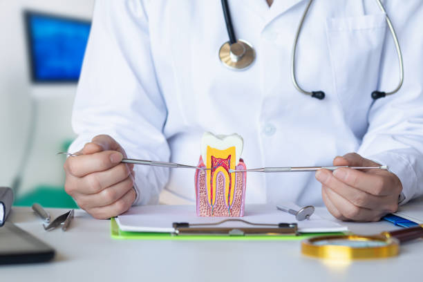 Best Dentist Open on Weekends  in Kensington, MD